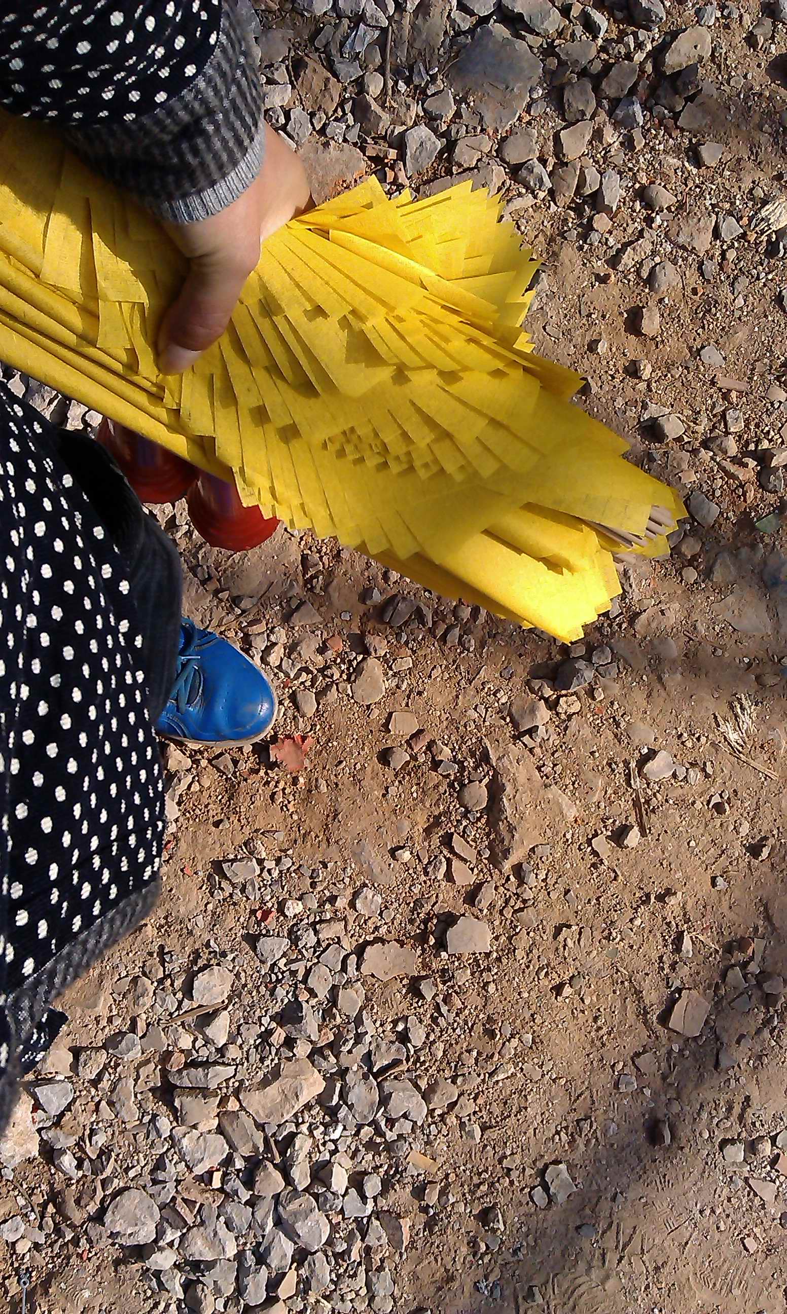 IMAG6443.jpg