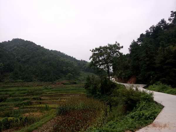 P40810-083234.jpg