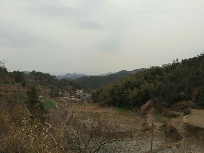 IMG_20150214_184451.jpg