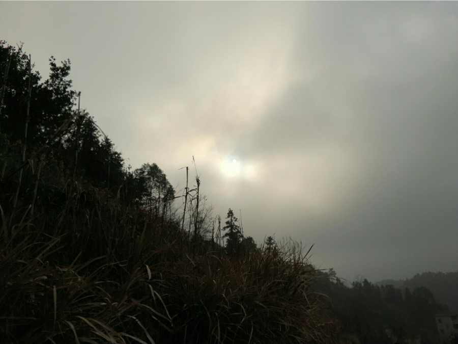 S50302-095540-001.jpg