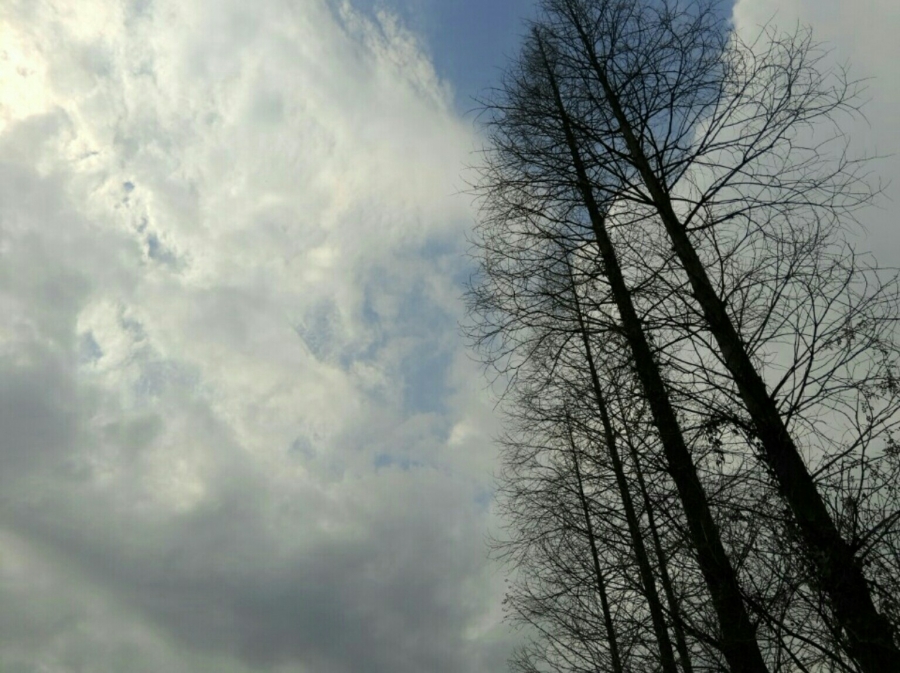 S50302-095754-001.jpg