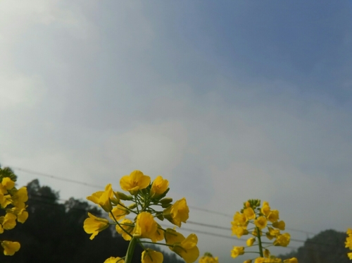 S50302-095421-001.jpg