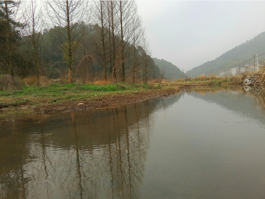 S50302-095518-001.jpg