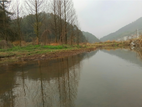 S50302-095518-001.jpg