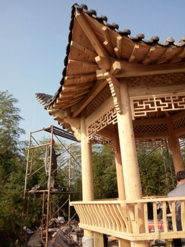 019.jpg 019.jpg