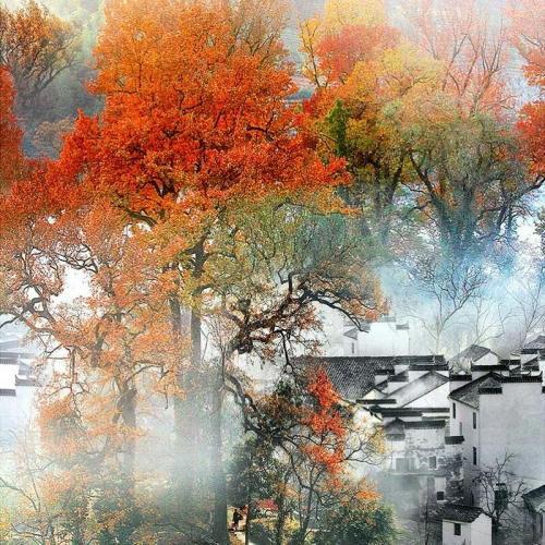 001.jpg