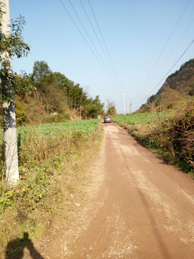 010.jpg