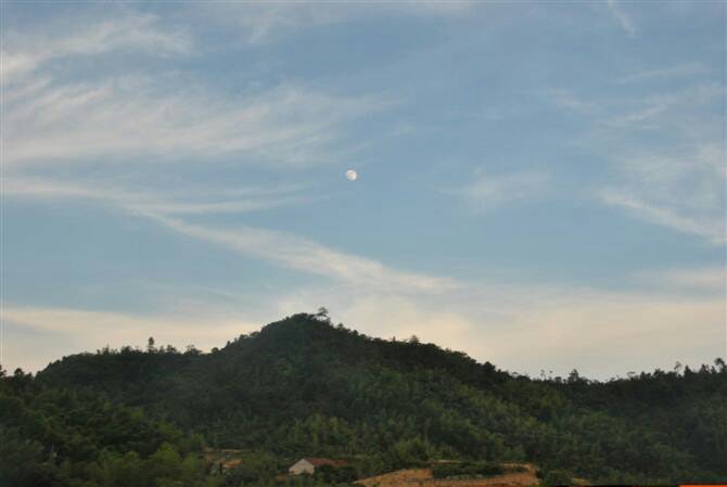 111154s09txatel9ze5hga.jpg