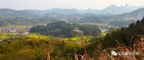 179.jpg