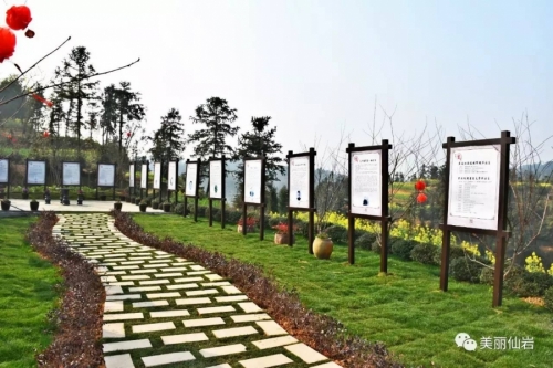 103.jpg