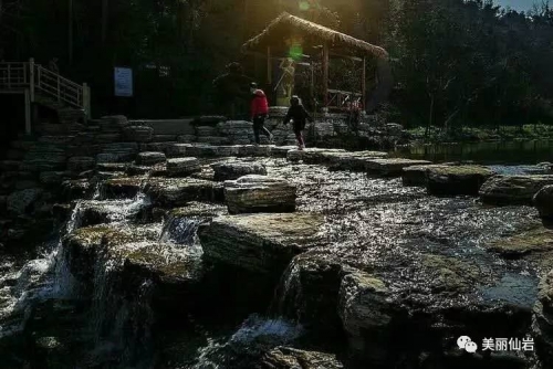 110.jpg