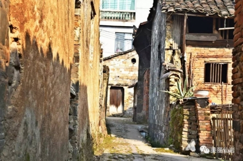 114.jpg