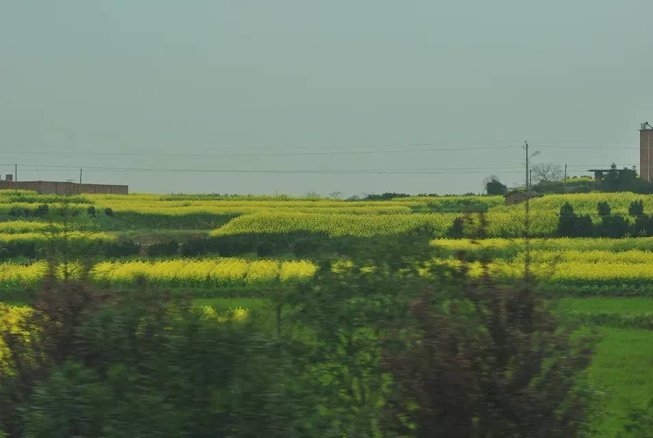 131827fpnpcdnf9gdciff2.jpeg