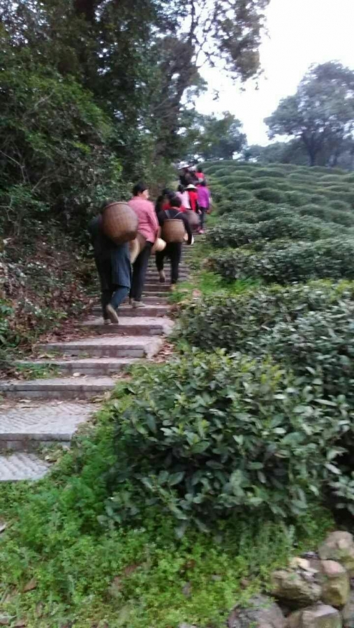 367.jpg