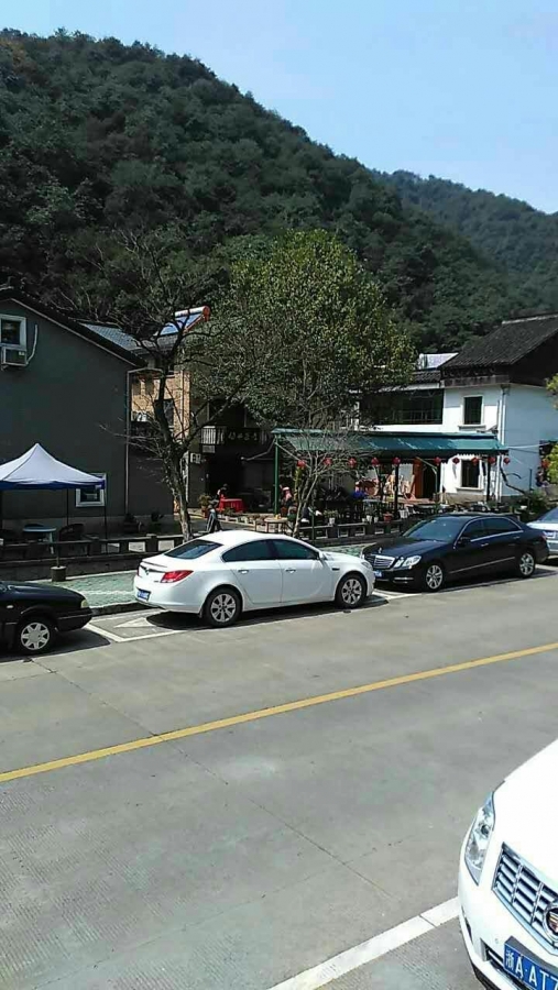 377.jpg