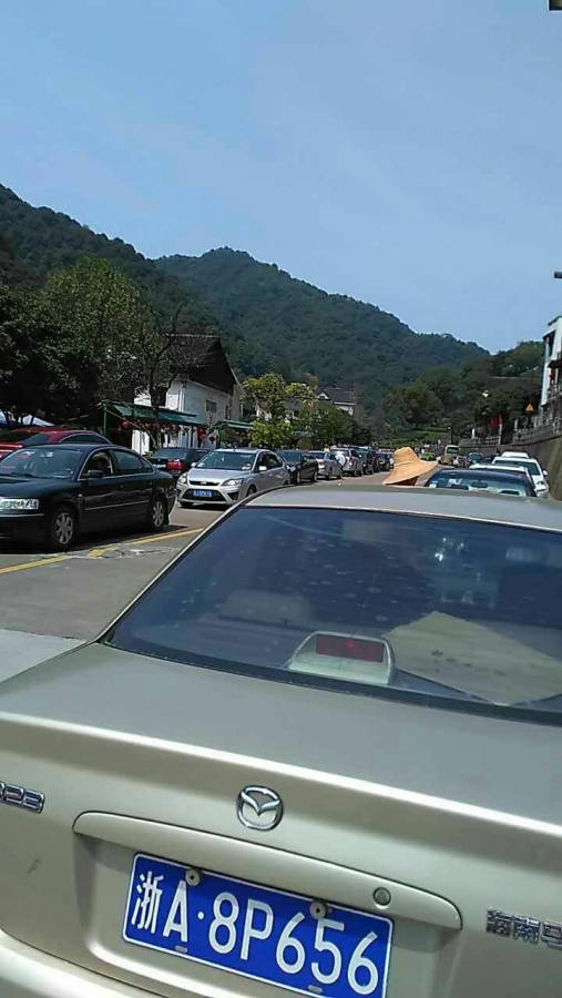 378.jpg