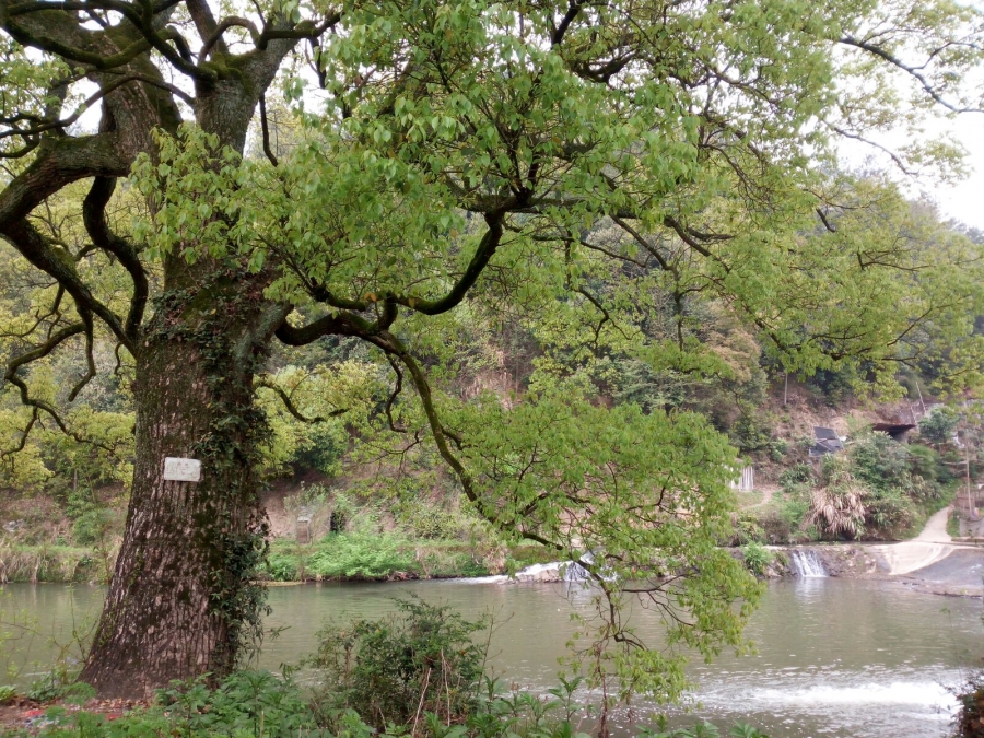 587.jpg