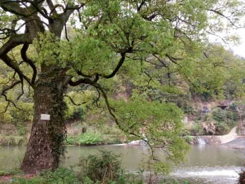 587.jpg
