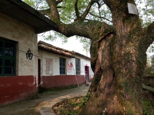 590.jpg