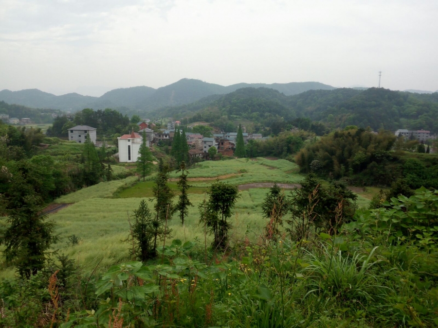 782.jpg